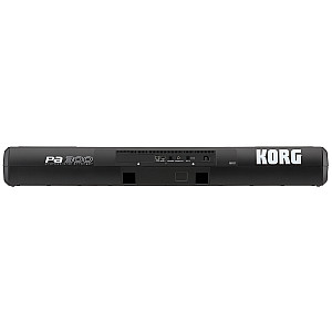 Korg Pa300 61 Key Arranger Keyboard